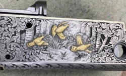 Bild "Bildzeile1:z1b1k.jpg"