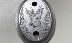 Bild "Bildzeile3:z3b3k.jpg"