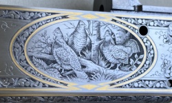 Bild "Bildzeile5:z5b3k.jpg"