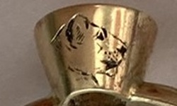 Bild "Bildzeile6:z6b3k.jpg"