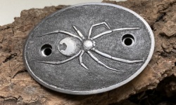 Bild "Bildzeile7:z7b1k.jpg"