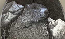 Bild "Bildzeile8:z8b1k.jpg"