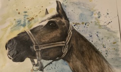 Bild "Bildzeile8:z8b2k.jpg"